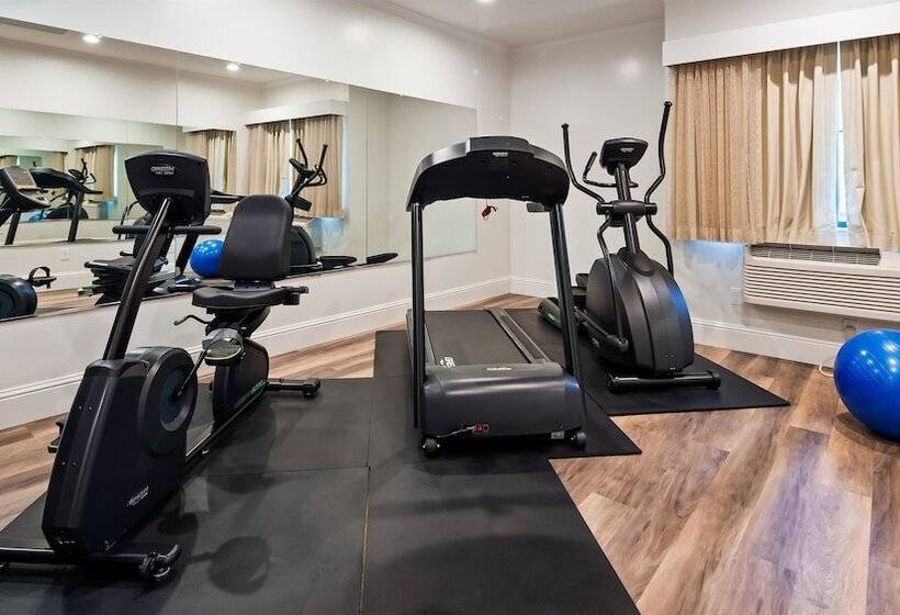 ホテル Best Western Plus Palm Court