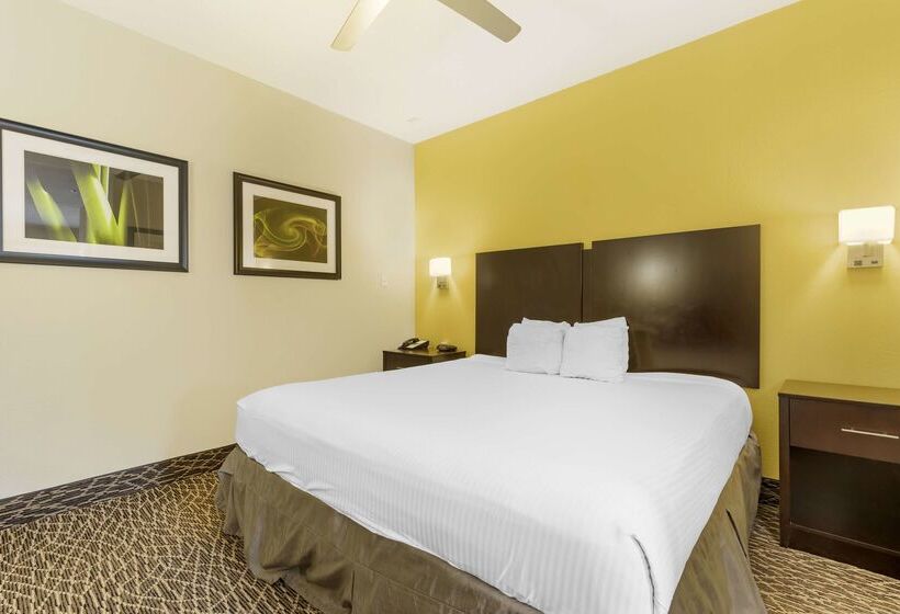 בית מלון כפרי Best Western West Monroe Inn