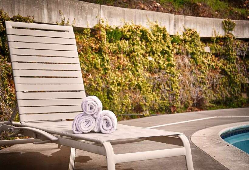 Отель Best Western Willits Inn