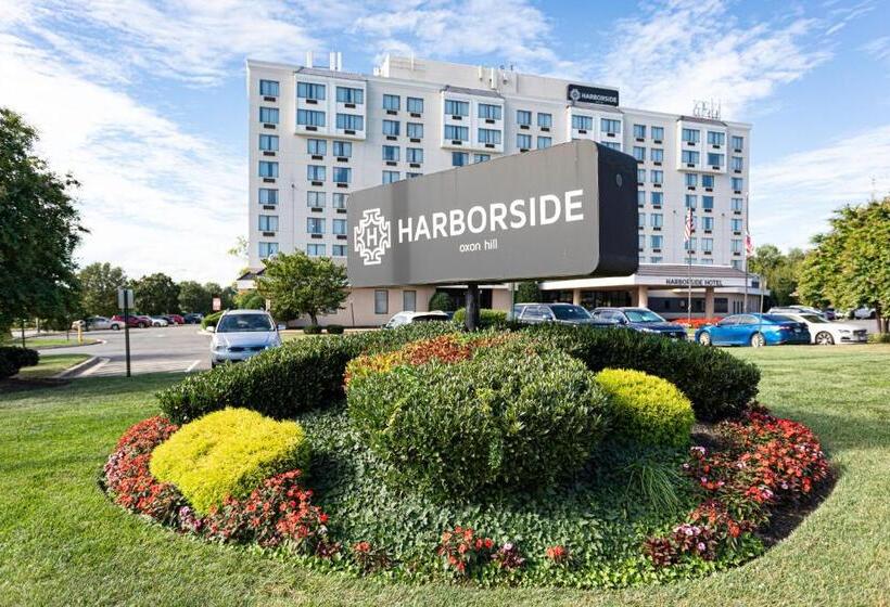 Отель Harborside