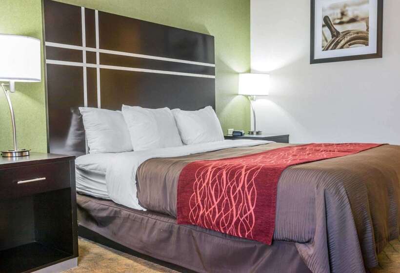 هتل Comfort Inn & Suites Maumee Toledo I80 90