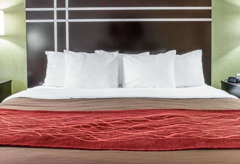 هتل Comfort Inn & Suites Maumee Toledo I80 90