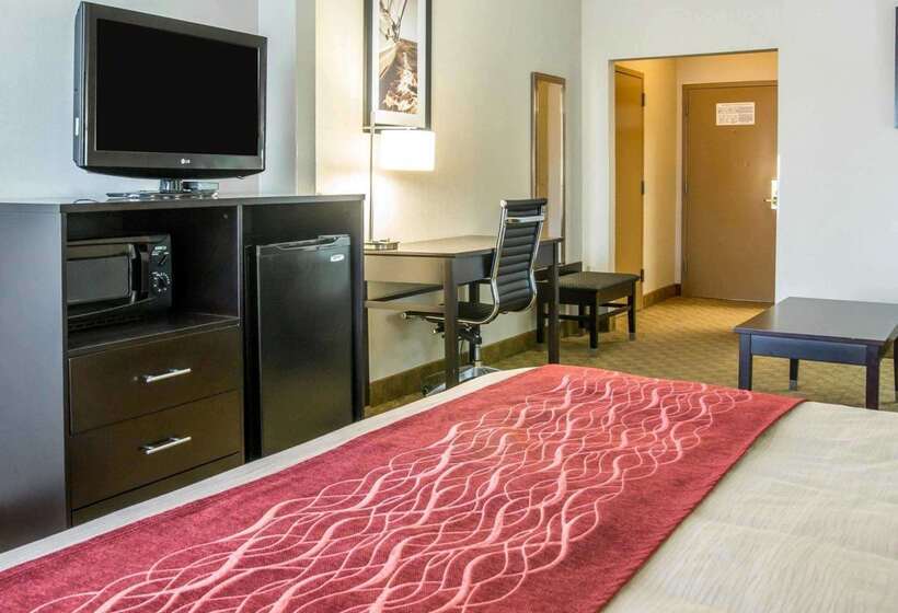 هتل Comfort Inn & Suites Maumee Toledo I80 90