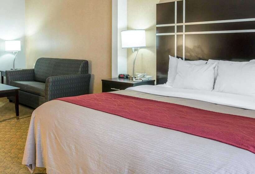 هتل Comfort Inn & Suites Maumee Toledo I80 90