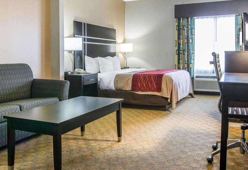 هتل Comfort Inn & Suites Maumee Toledo I80 90