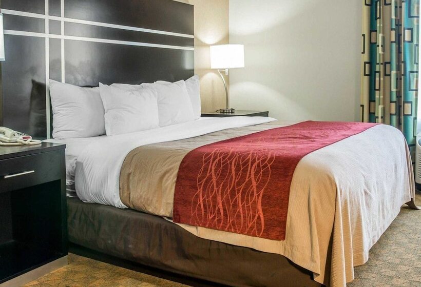 هتل Comfort Inn & Suites Maumee Toledo I80 90