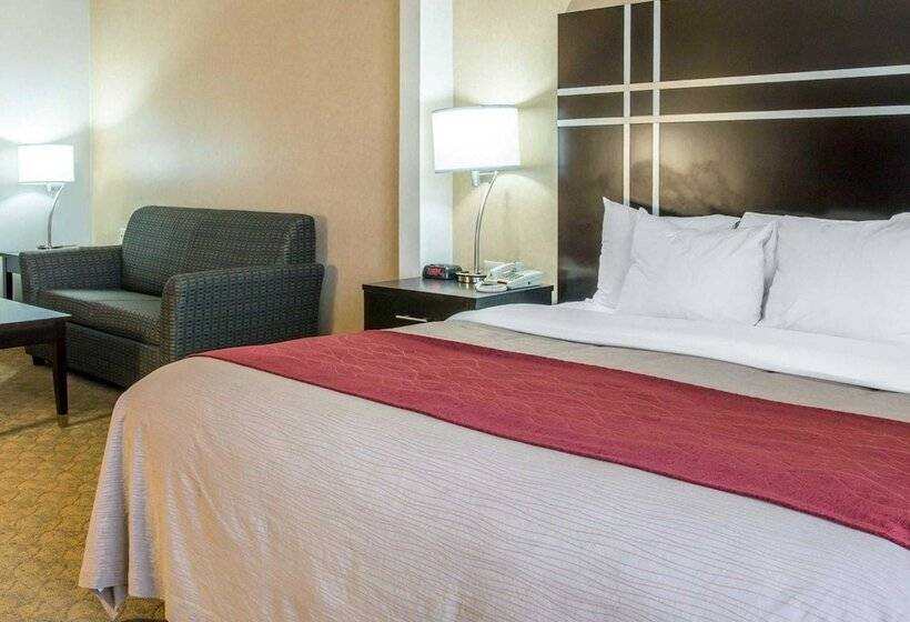 هتل Comfort Inn & Suites Maumee Toledo I80 90