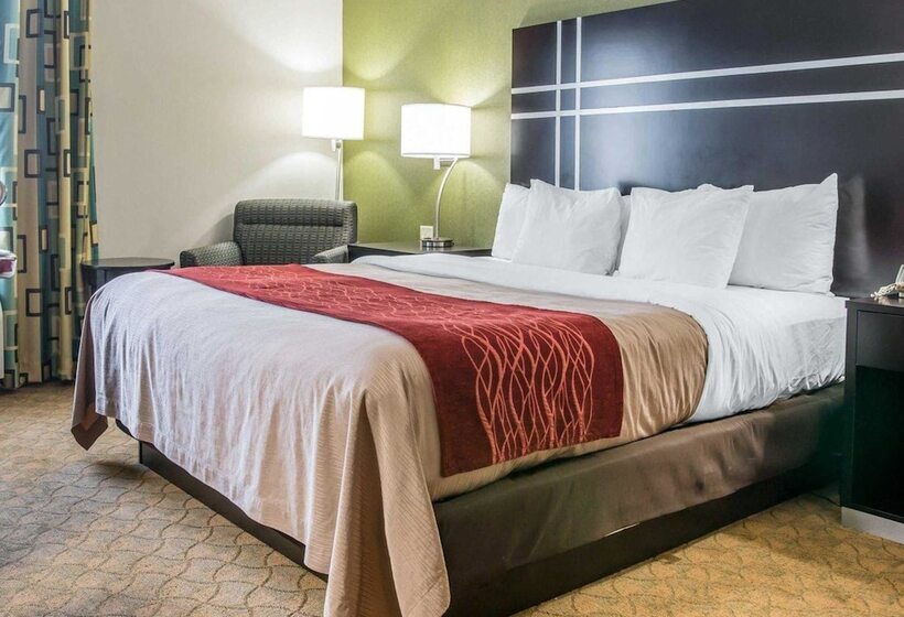 هتل Comfort Inn & Suites Maumee Toledo I80 90