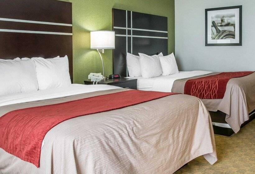 هتل Comfort Inn & Suites Maumee Toledo I80 90