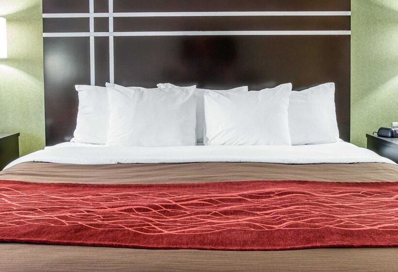 هتل Comfort Inn & Suites Maumee Toledo I80 90