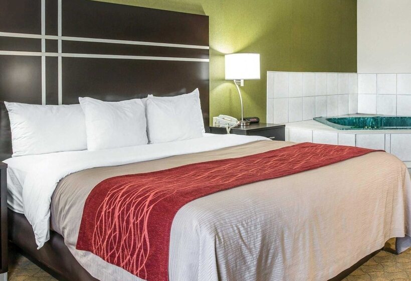 هتل Comfort Inn & Suites Maumee Toledo I80 90