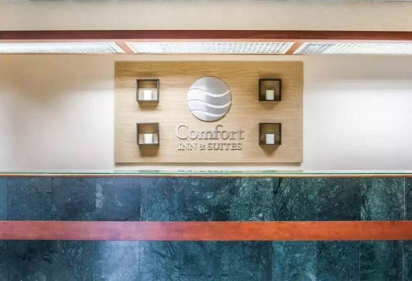 هتل Comfort Inn & Suites Maumee Toledo I80 90