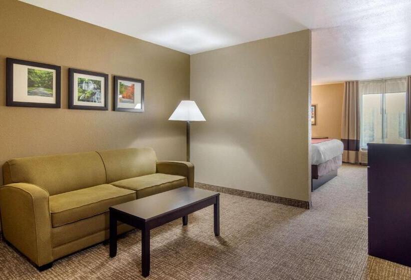 فندق Comfort Inn & Suites Perry National Fairgrounds Area