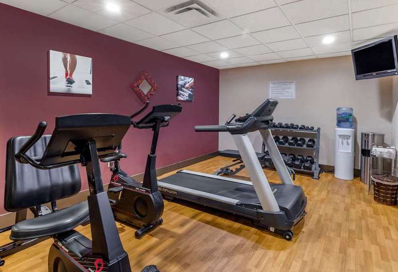 فندق Comfort Inn