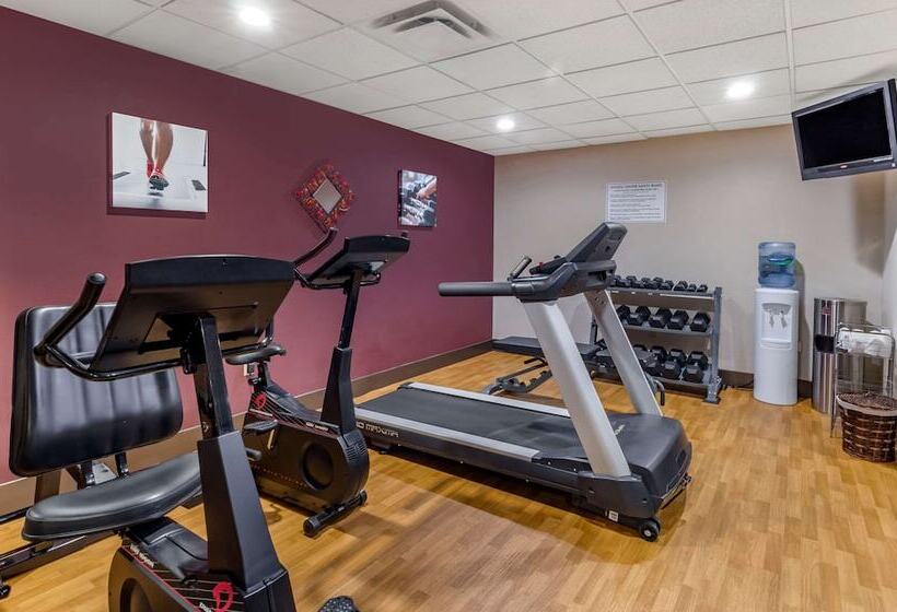 فندق Comfort Inn