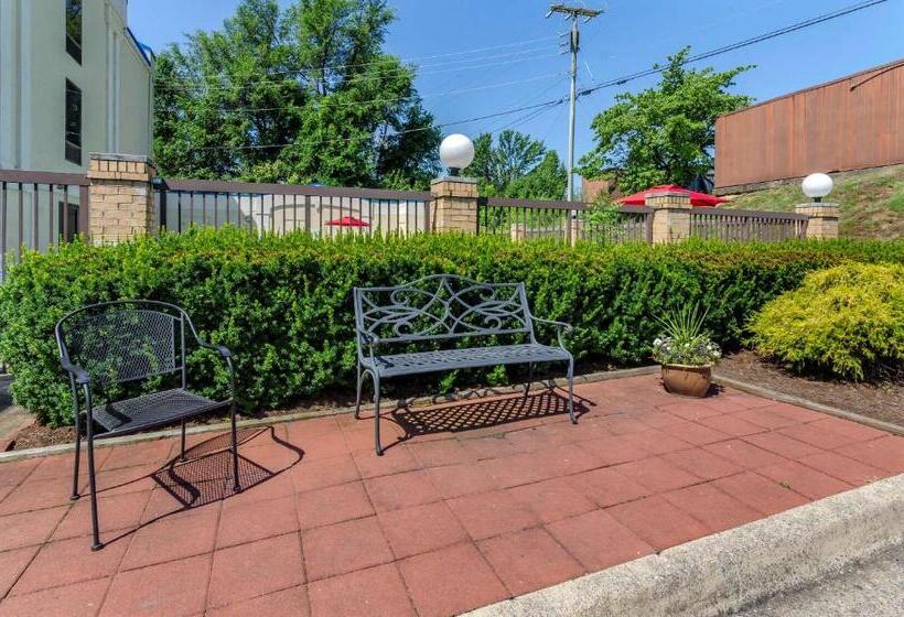 فندق Comfort Inn