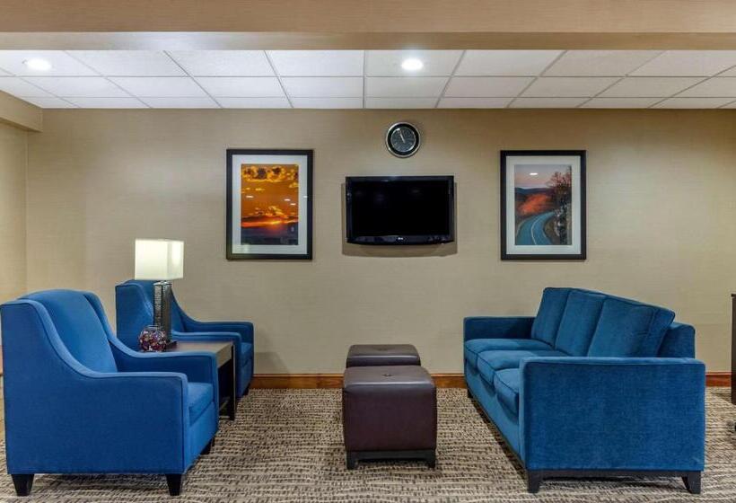 فندق Comfort Inn