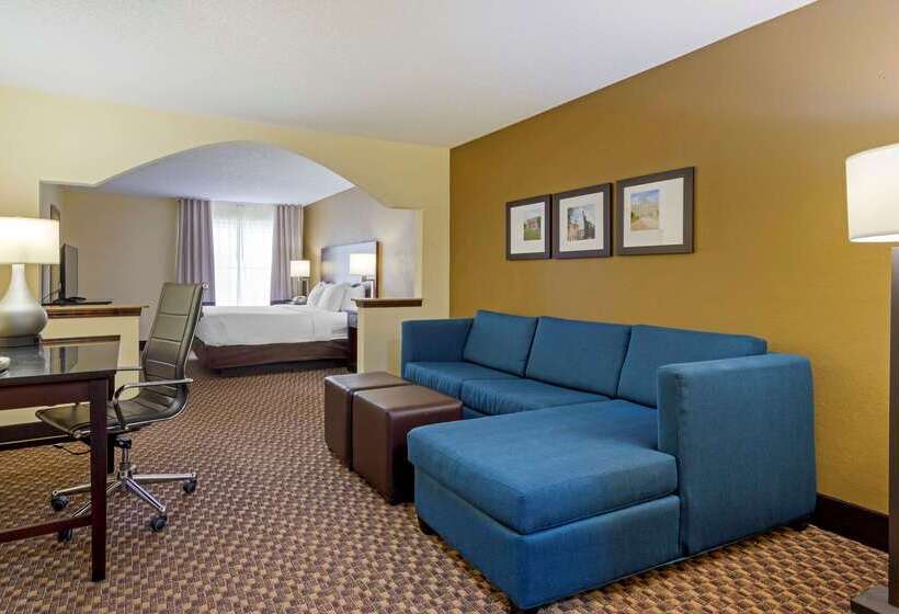 בית מלון כפרי Comfort Suites Milledgeville