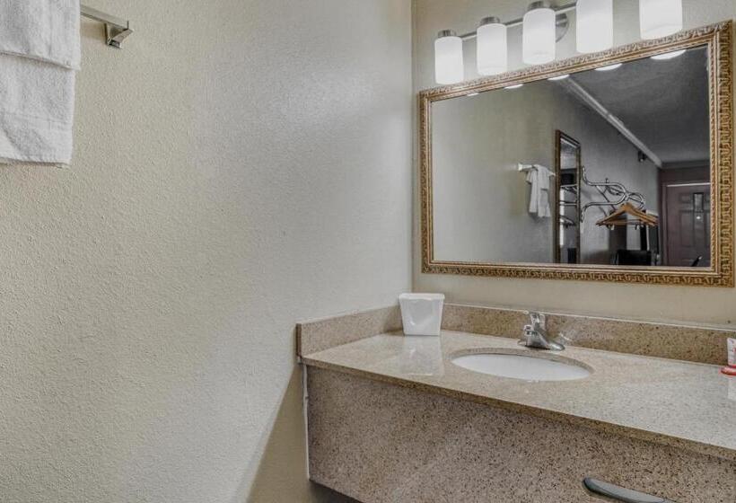 Oyo Hotel Pineville La Hwy 165