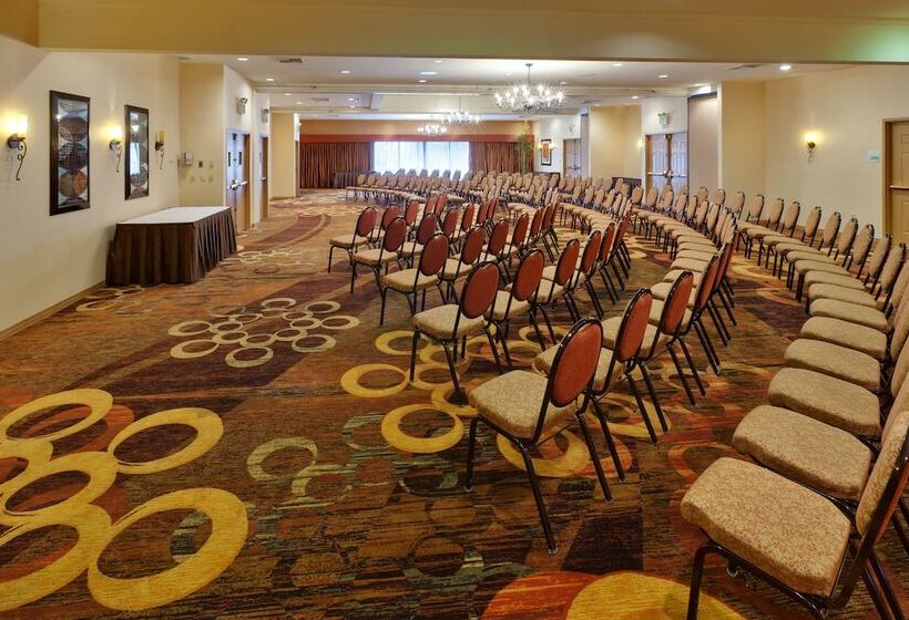 ホテル Holiday Inn Dublin Pleasanton, An Ihg