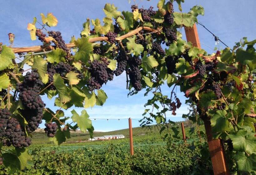 فندق Lakeside Lodge And Suites