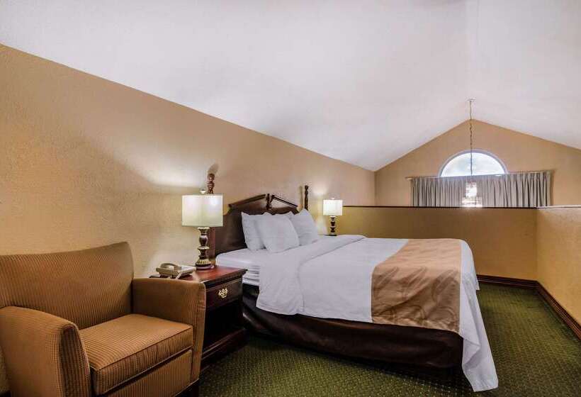 فندق Quality Inn & Suites