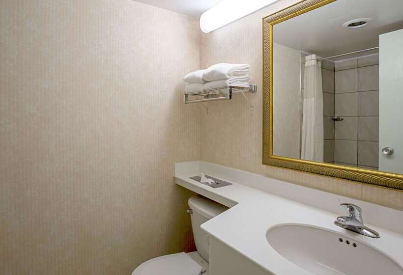 هتل Quality Inn & Suites Near I480 And I29