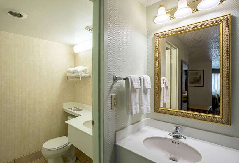 Отель Quality Inn & Suites Near I480 And I29
