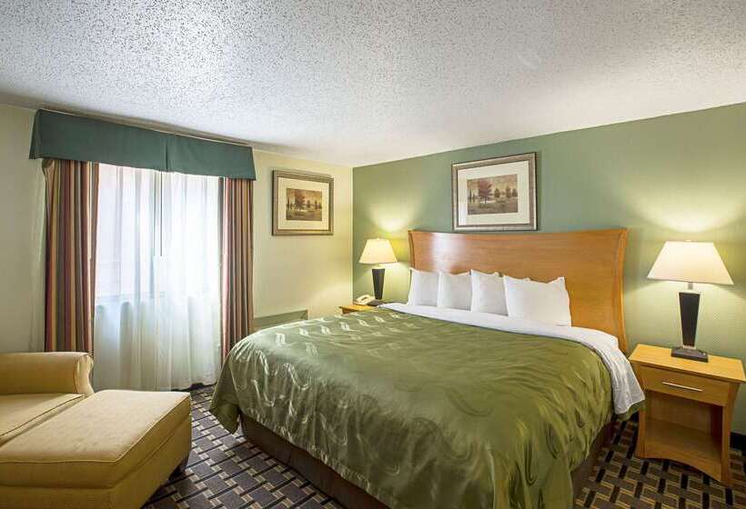 Отель Quality Inn & Suites Near I480 And I29