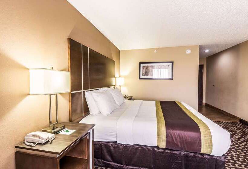 酒店 Quality Inn