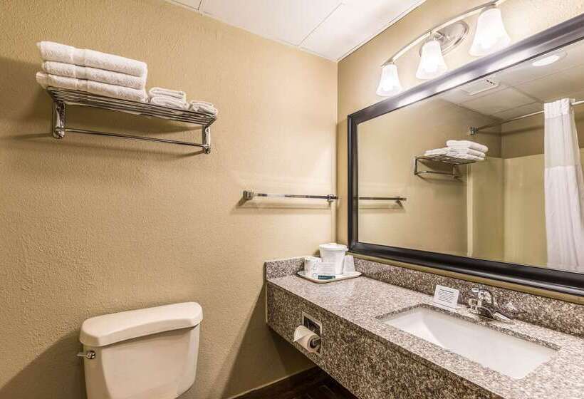 酒店 Quality Inn