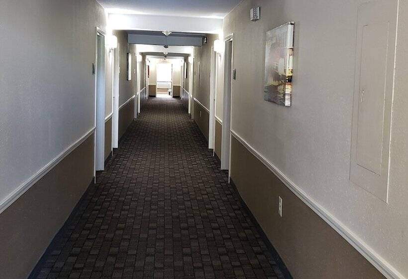 酒店 Red Roof Inn Port Allen