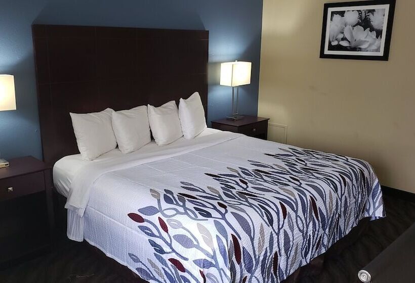 酒店 Red Roof Inn Port Allen