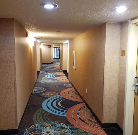 ホテル Super 8 By Wyndham Hattiesburg South