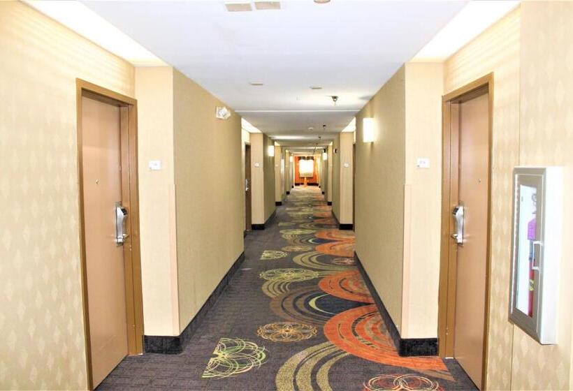 酒店 Trident Inn & Suites New Orleans