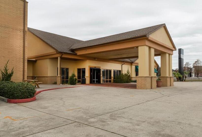 酒店 Trident Inn & Suites New Orleans