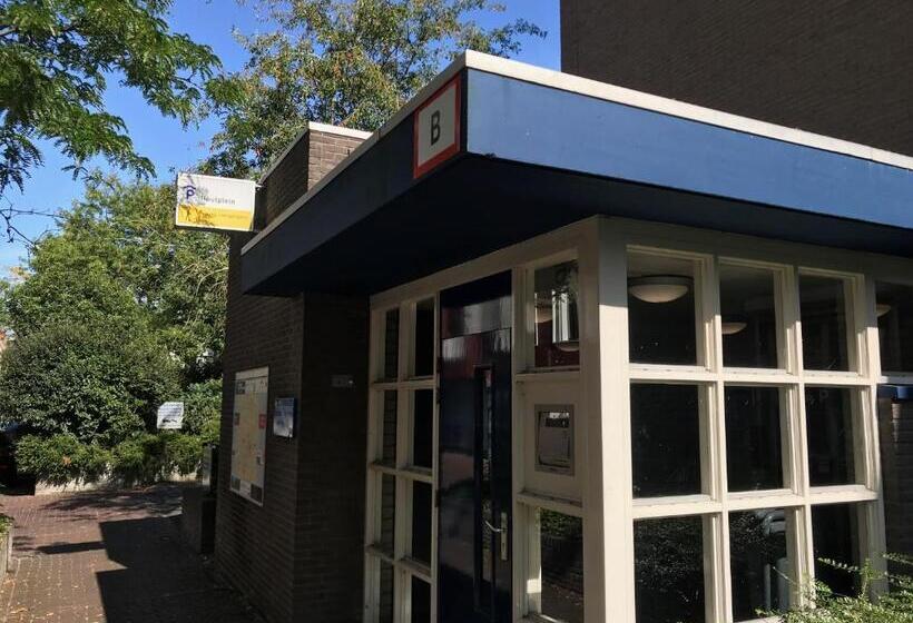 Bed And Breakfast The Rose