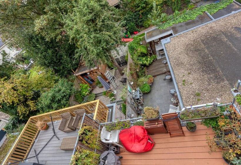 Bed And Breakfast The Rose