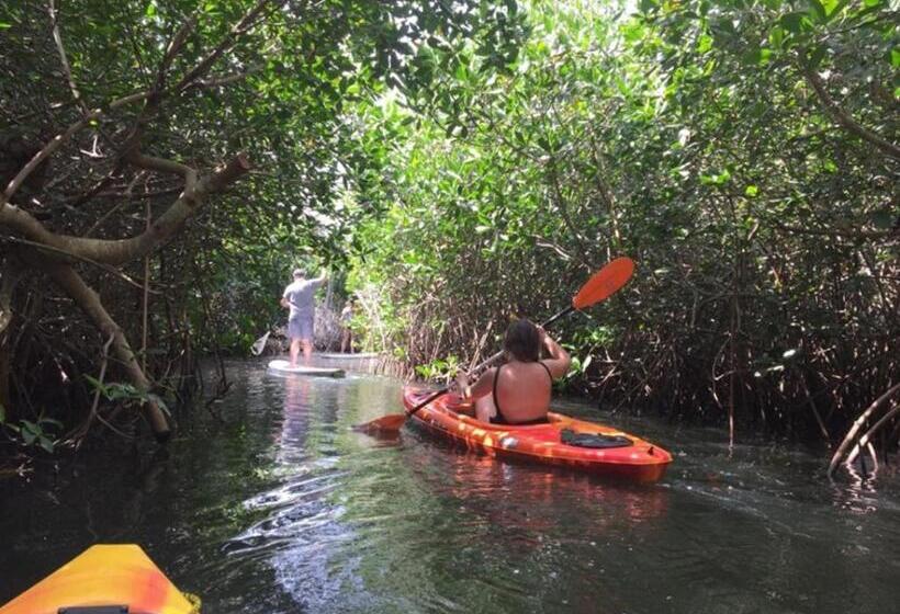 هتل Casa Mexicana Barra De Navidad