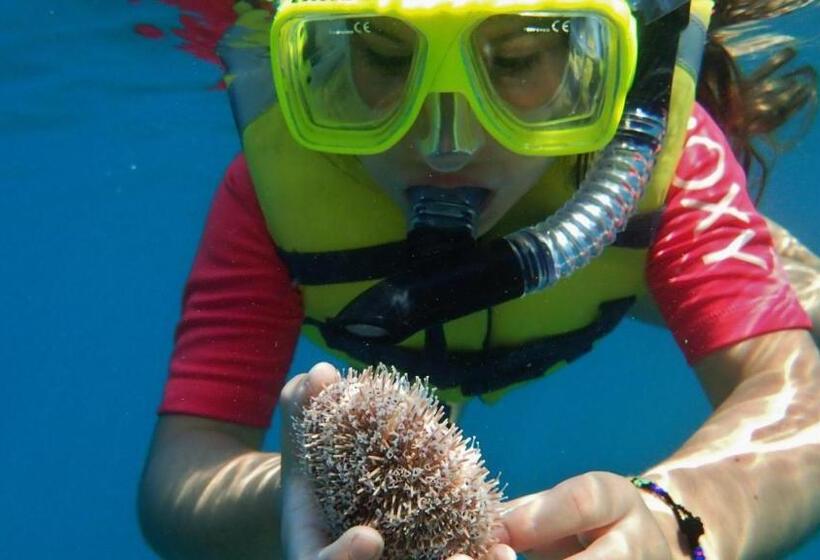 هتل Casa Mexicana Barra De Navidad