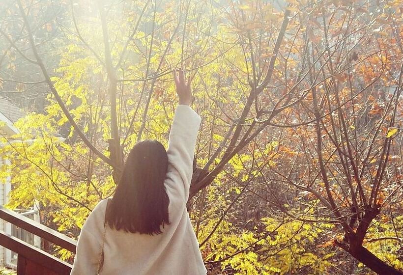 酒店 Innature.hanyang