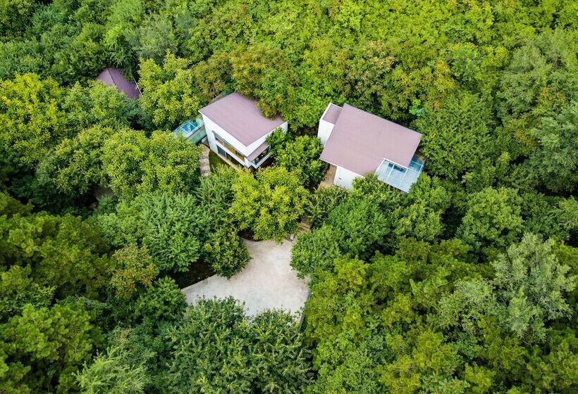 酒店 Innature.hanyang