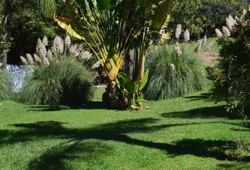 فندق La Martinica