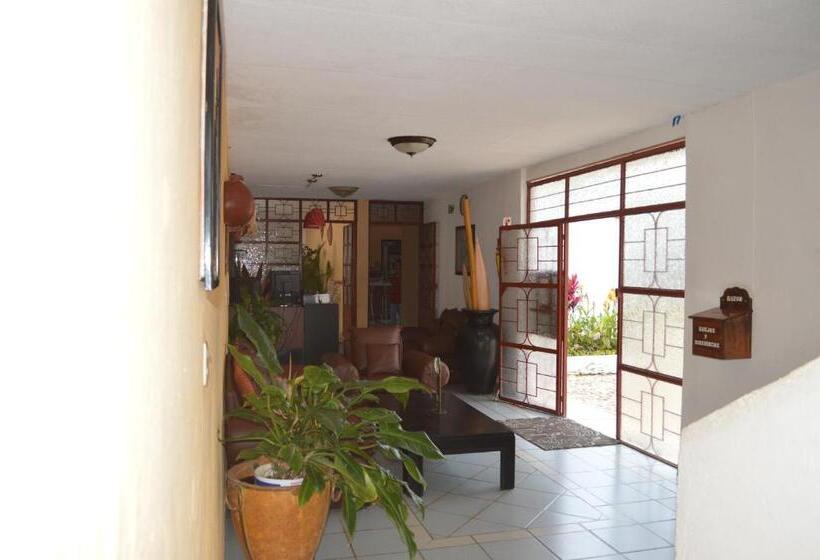 فندق La Martinica