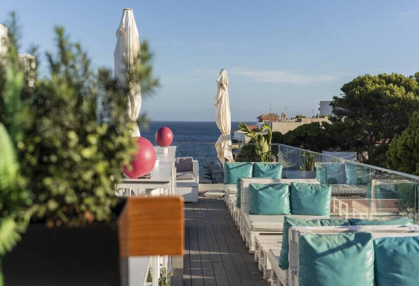 酒店 Onmood Cala Ratjada   Bed & Brunch