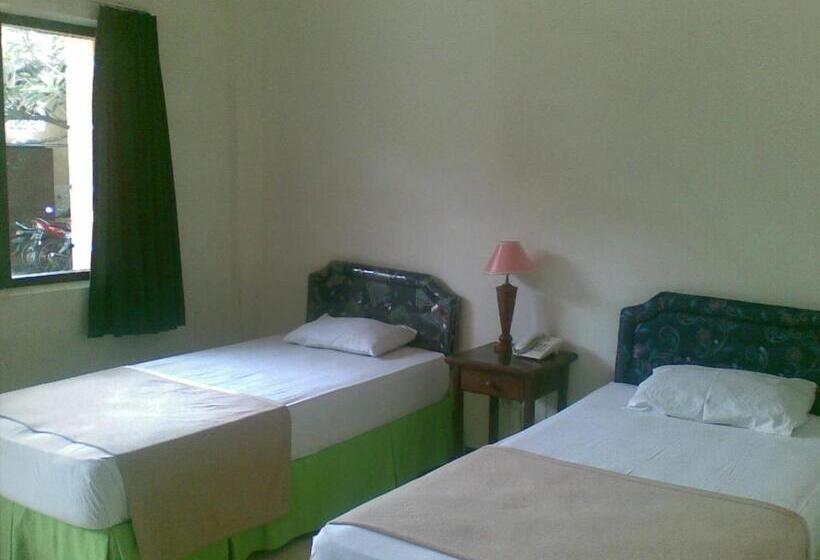 בית מלון כפרי Ronggolawe