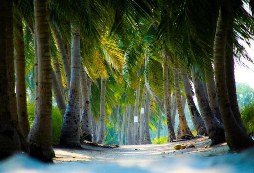 Пансион Alesara Guest House