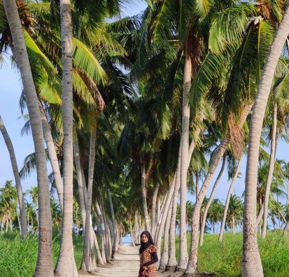 Пансион Alesara Guest House