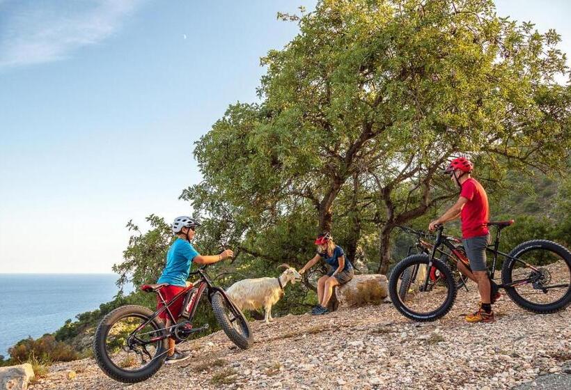 פנסיון Bedbike Baunei