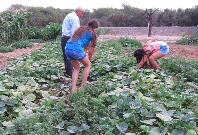 Курорт Elausa Hotel & Restaurant